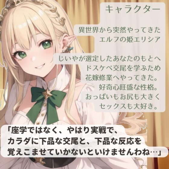 【期間限定550円】異世界エルフプリンセスのドスケベお下品花嫁修業 [BOOKMARK STUDIO] | DLsite 同人 - R18