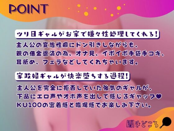 金払って借金ツリ目ギャルを「性処理」家政婦で手に入れた話。【KU100】 [ドM女史団] | DLsite 同人 - R18