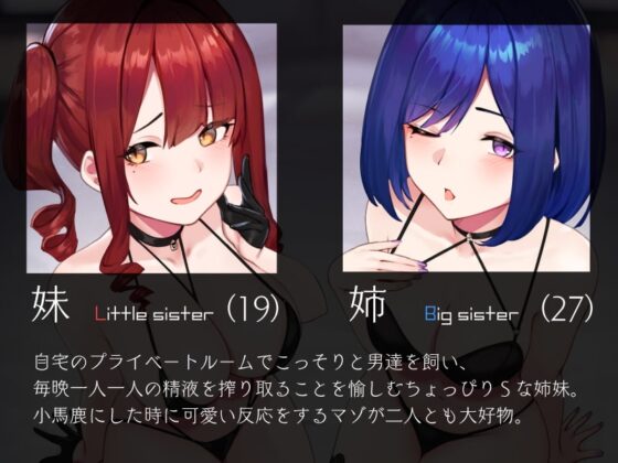 姉妹のW吐息責めオナニーサポート [シルトクレーテ] | DLsite 同人 - R18