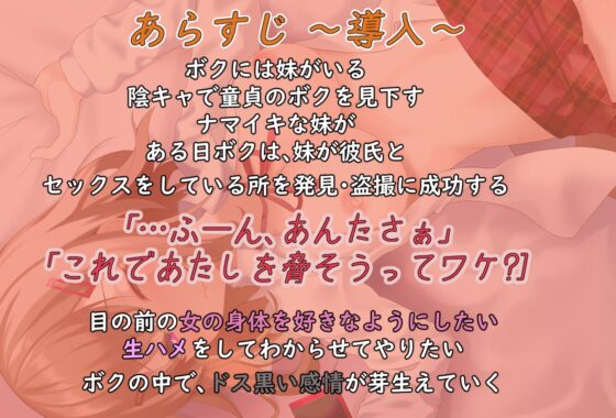 ナマイキな妹を生ハメえっちでわからせる [だめニンゲン] | DLsite 同人 - R18