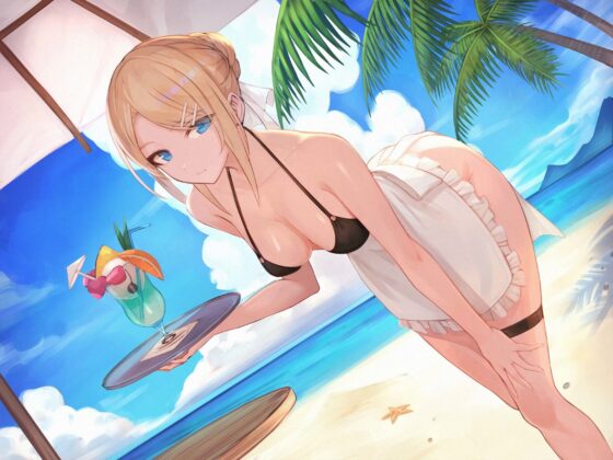 超絶優秀金髪メイドに性処理をさせる話 『涼』 ～今ひとときのやすらぎを～ [スタジオぽんぽこ] | DLsite 同人 - R18