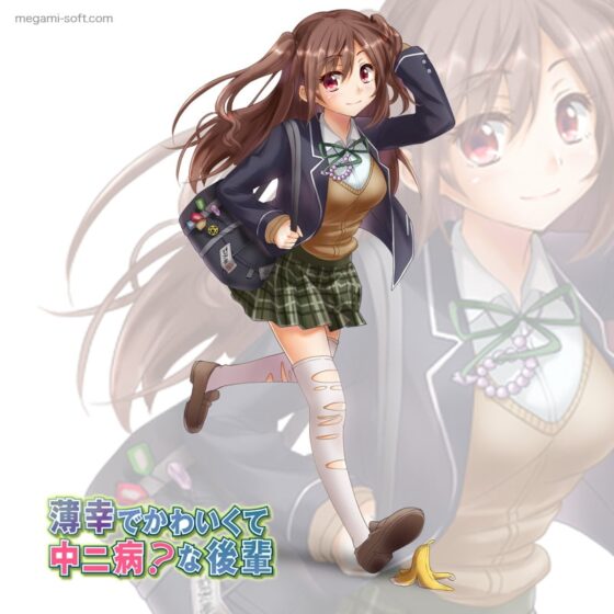 薄幸でかわいくて中二病?な後輩 [めがみそふと] | DLsite 同人 - R18
