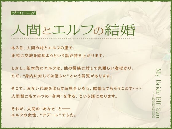 クールで冷たく見えるけど本当は優しくて、だんだん愛情たっぷりおまんこしてくれるようになる新妻エルフさん【バイノーラル】 [防鯖潤滑剤] | DLsite 同人 - R18