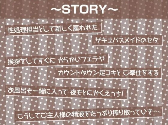 中出し孕み担当のサキュバスメイドとのドスケベえちえち性活【フォーリーサウンド】 [テグラユウキ] | DLsite 同人 - R18