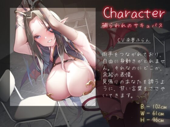 サキュバスを捕らえた夜 [荘ノヴァ] | DLsite 同人 - R18