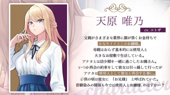 ご令嬢に飼われたアナタと性処理生活 [アンテロス] | DLsite 同人 - R18