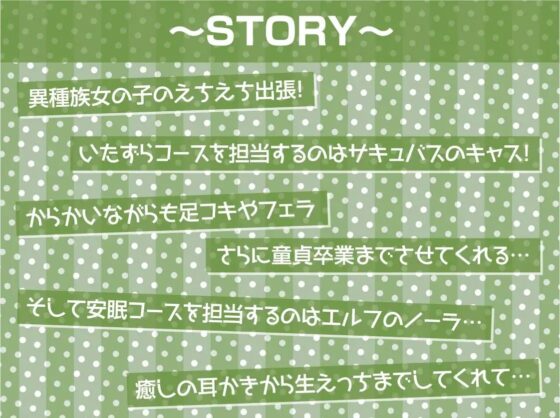 安眠担当&amp;いたずら担当!えちえち出張サキュバス&amp;エルフ!【フォーリーサウンド】 [テグラユウキ] | DLsite 同人 - R18