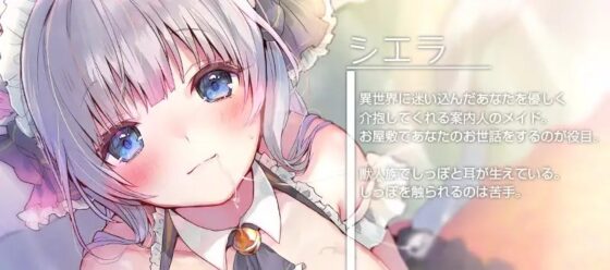 GoTo異世界～案内人はネコ耳メイド～【癒しシャンプー】 [耳セレブ] | DLsite 同人 - R18