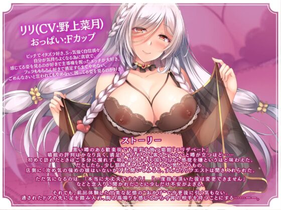 【バイノーラル】淫乱姫(サキュバス)の娼館エリザベート～たっぷりどくどく孕ませエッチ～ CV:野上菜月 [響庵] | DLsite 同人 - R18