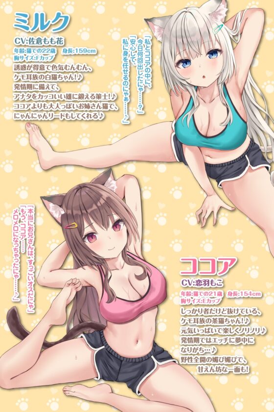 【KU100】ケモ耳フィットネスでドスケベ射精管理! 〜軟体ネコ娘にあまあま搾精されながら絶倫目指して密着絡まりトレーニング♪〜【りふれぼプレミアムシリーズ】 [スタジオりふれぼ] | DLsite 同人 - R18