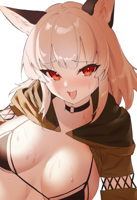 ケモミミシーフ娘ときもちい二人旅～友達以上恋人未満な相棒狐耳っ娘とどこでもシコシコ、じゃれつきいちゃらぶ交尾～【きもちいKU100】 [とろとろすたじお] | DLsite 同人 - R18