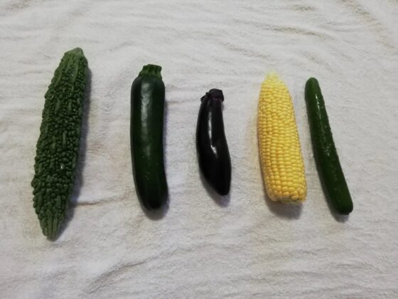 初登場・姫宮ぬく美!夏野菜で大人の自由研究!5種野菜でオナニーチャレンジ!気持ちよすぎて失禁ハプニング!おもらしオナニー!アへ声!おしっこ【実演音声、ASMR】 [ぼっちえっちLAB] | DLsite 同人 - R18