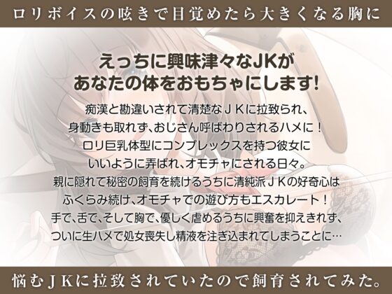 lovers hand 2023 新春パック [Lover'sHand] | DLsite 同人 - R18