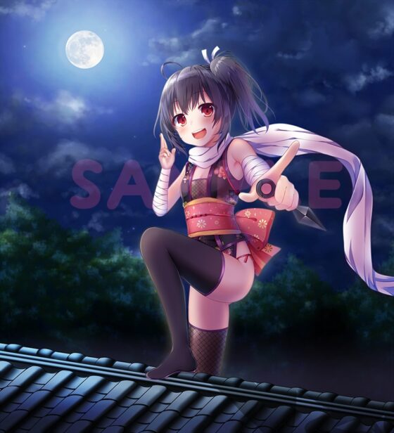 ハニートラップでござるよニンニン [ここどこ] | DLsite 同人 - R18