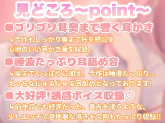 見回り看護師と深夜のひ・め・ご・と【耳かき/ぐっぽり・じゅるじゅる耳舐め/誘惑囁き】 [ヤドナーズcafe] | DLsite 同人 - R18