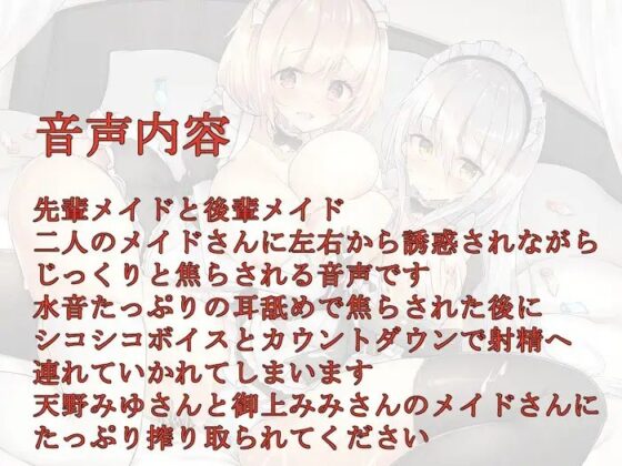 メイドさんのWご奉仕～私たちに遊ばせてください～ [玄姫屋] | DLsite 同人 - R18