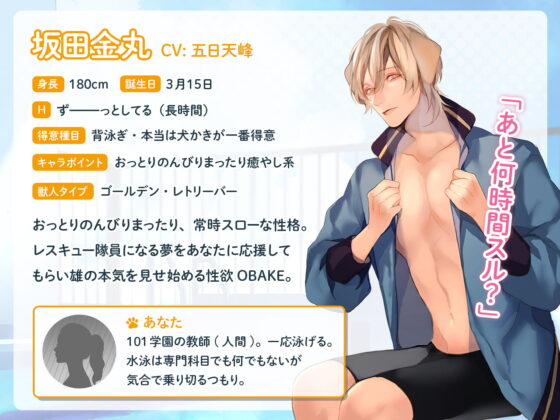 獣人水泳部！ゴールデン・レトリーバーな坂田金丸クン CV.五日天峰【簡体中文台本付属】 [ひつじぐも] | DLsite がるまに