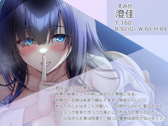 クールな義姉に囁かれながら骨の髄まで愛されちゃう [鴨せいろ] | DLsite 同人 - R18