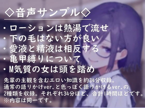 エロい知識を吹き込んでくるバ先のお姉さん [すべすべスタジオ] | DLsite 同人 - R18