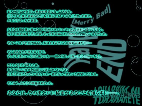 Happy(MerryBad)END Memorial No.02 アクアリウムに囚われて [ラミナプラネット] | DLsite がるまに
