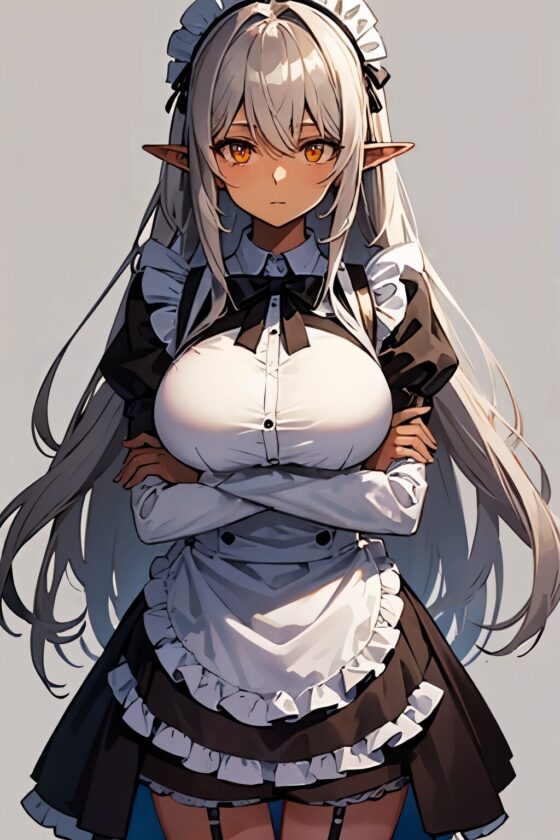 無表情で事務的に性処理する巨乳ダークエルフのメイドさんが俺の事を好き過ぎた【抱き枕推奨/ファンタジー/ラブラブ】 [巨乳大好き屋] | DLsite 同人 - R18