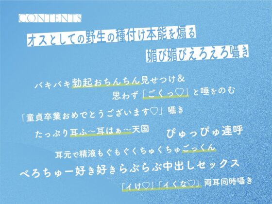 セクハラしても許してくれる生徒会長のおちんちん抜き抜き係 [桜色ピアノ] | DLsite 同人 - R18
