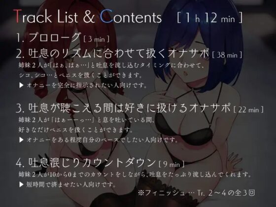 姉妹のW吐息責めオナニーサポート [シルトクレーテ] | DLsite 同人 - R18