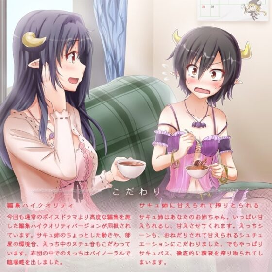 清楚でかわいくて天然なサキュバス [めがみそふと] | DLsite 同人 - R18