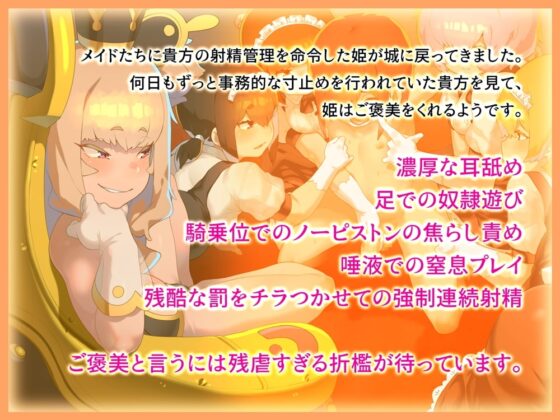 姫のご褒美 耳舐めと奴隷遊びで壊れるまで弄ばれるバイノーラル音声 出逢う女の子全てに犯されるRPGスピンオフ [B-bishop] | DLsite 同人 - R18