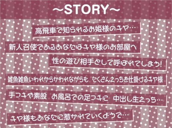 姫パコ～とろとろロイヤルおま〇こに雑魚中出し～【フォーリーサウンド】 [テグラユウキ] | DLsite 同人 - R18