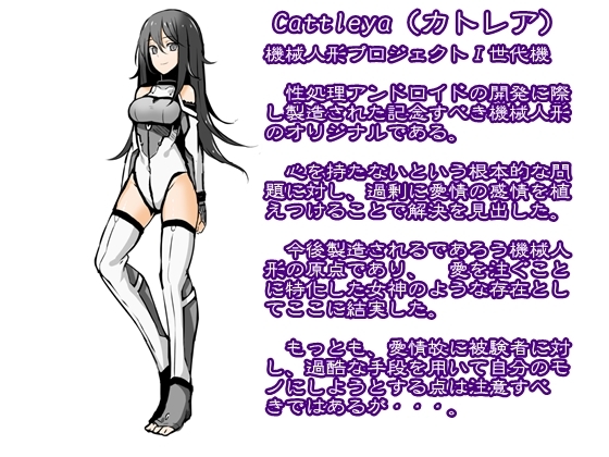 心無き機械人形 The Origin [B-bishop] | DLsite 同人 - R18