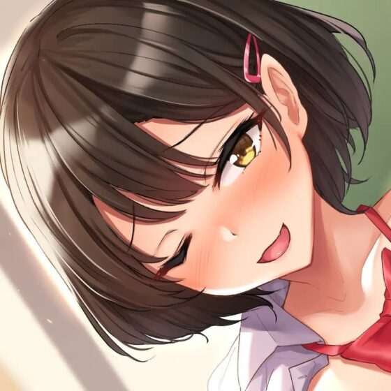 真面目で清純な風紀委員の後輩があなたの前だけ小悪魔チェンジで誘惑えっち♪ [胡蝶蘭プロジェクト] | DLsite 同人 - R18