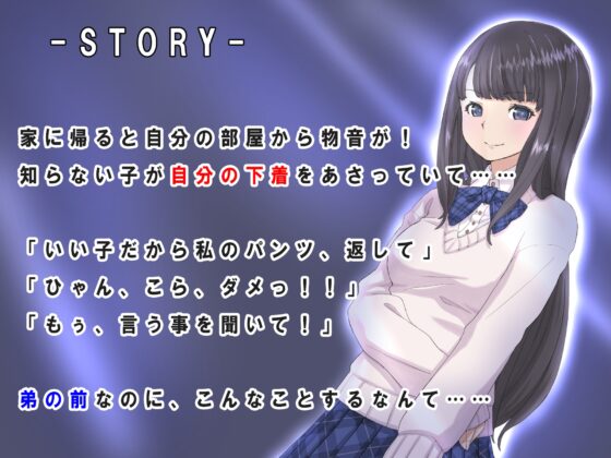 大好きなお姉ちゃんがボクの目の前でメス堕ち【NTR・連続絶頂】 [The sense of sight] | DLsite 同人 - R18