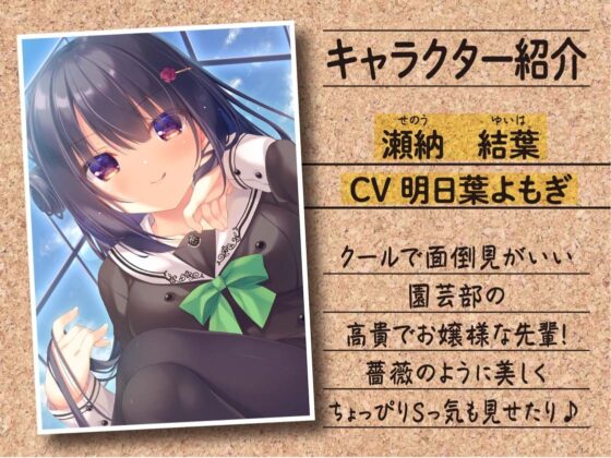 【ハイレゾ×KU100】薔薇園の女王様 ～園芸部のえっちな先輩には少しだけ棘がある～ [Nanamori Studio] | DLsite 同人 - R18