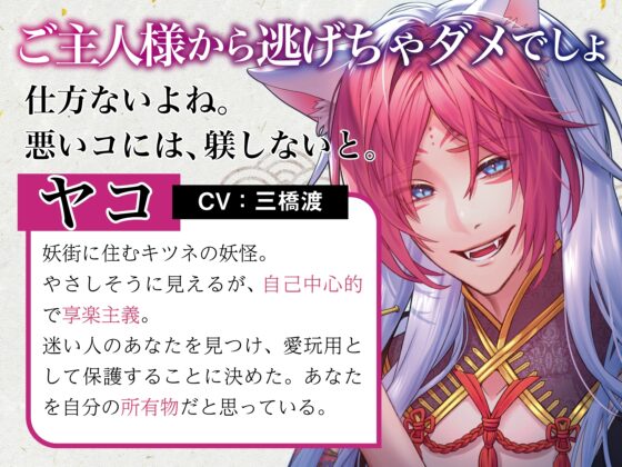 妖街の愛玩人間 [white mist] | DLsite がるまに