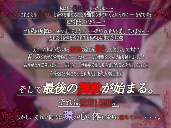 【期間限定価格110円】僕らは僕らのためにNTR報告することにした 私が堕ちた1週間報告書【バイノーラル】 [脳汁ドロップ] | DLsite 同人 - R18
