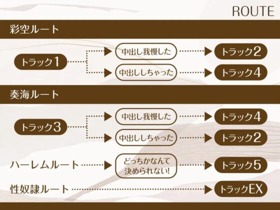 【どっちを選ぶ?】中出ししたら即結婚、危険日おまんこエッチ～あなたは我慢できるか～ [のの庵] | DLsite 同人 - R18