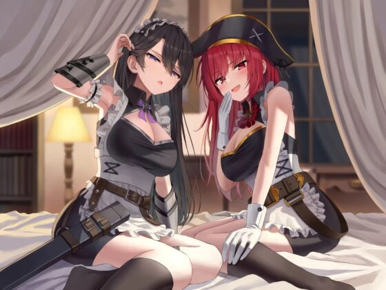 【奴隷化魔法】メスガキ海賊&amp;ダウナー女騎士のオホ堕ちご奉仕日誌【低音甘オホ】 [脳とりがー] | DLsite 同人 - R18