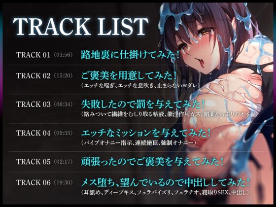 ガールズホイホイ～一度入ったら中出しされるまで出られないお城～ [Lover'sHand] | DLsite 同人 - R18