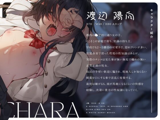 修学旅行中のJ〇に薬を飲ませて白い砂浜でキメセク三昧 [RAV] | DLsite 同人 - R18