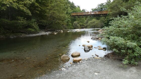 耳舐め&amp;耳ふ～サンドイッチ ダウナー妹と低音姉【R-15癒し/CV:箱河ノアさま・耳恋なかさま】 [チームランドセル] | DLsite 同人 - R18