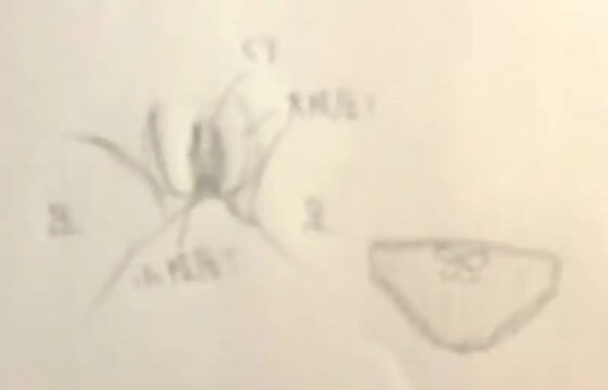 【私の性器解説】おまんこ測定! クールでどスケベ もすかさん【オナニー実演】 [実演音声普及協会] | DLsite 同人 - R18