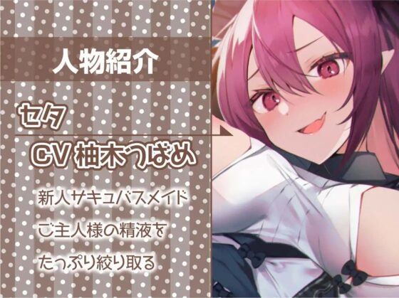 中出し孕み担当のサキュバスメイドとのドスケベえちえち性活【フォーリーサウンド】 [テグラユウキ] | DLsite 同人 - R18