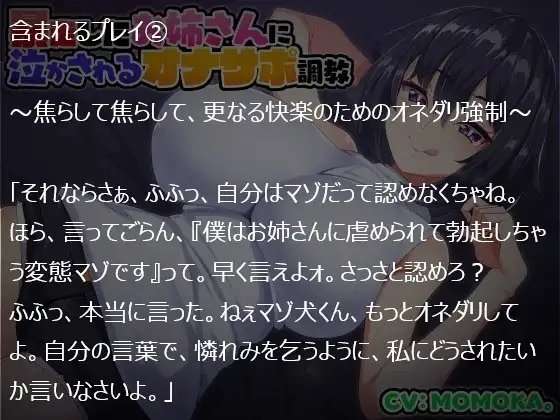 暴走したお姉さんに泣かされるオナサポ調教 [ボロボロストーリーズ] | DLsite 同人 - R18