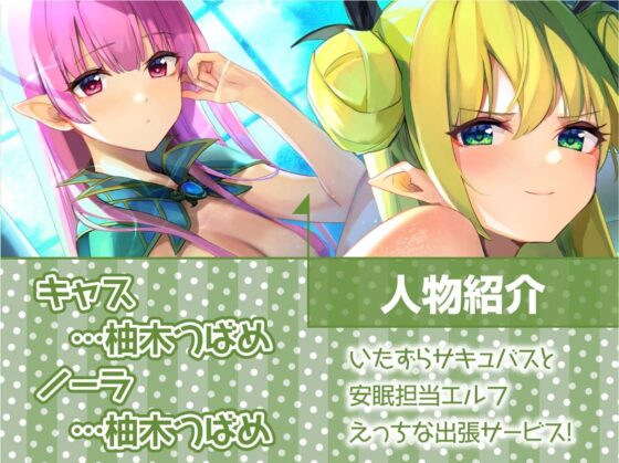 安眠担当&amp;いたずら担当!えちえち出張サキュバス&amp;エルフ!【フォーリーサウンド】 [テグラユウキ] | DLsite 同人 - R18