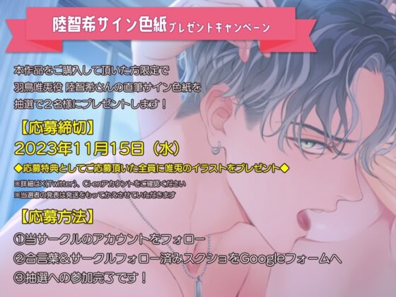 ★期間限定330円!!!★奪い、奪われ、奪い愛～やっと手に入れた愛するお前は兄の手に堕ちた～ [シトラスぱらだいす] | DLsite がるまに
