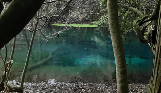 耳舐め&amp;耳ふーサンドイッチ 田舎の癒し ～山形県遊佐町音源～ 【耳恋なかさん&amp;そよかぜみらいさん/安眠特化/環境音現地収録】 [チームランドセル] | DLsite 同人 - R18