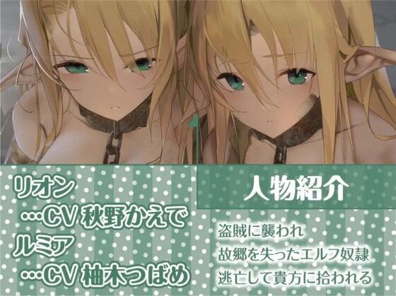 姉妹エルフ奴隷との甘々中出し性活～ボロボロのエルフ二人を助けて可愛がって孕ませる～【フォーリーサウンド】 [テグラユウキ] | DLsite 同人 - R18