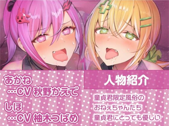 童貞君応援おねぇちゃんの甘やかしはぴはぴ☆中出しえっち!【フォーリーサウンド】 [テグラユウキ] | DLsite 同人 - R18