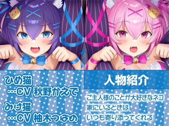 ネコパコ!～発情ネコま〇こに中出し性活～【フォーリーサウンド】 [テグラユウキ] | DLsite 同人 - R18